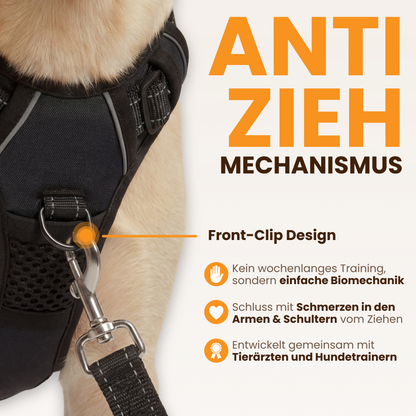Harnais anti-traction MouVéo - chien en promenade
